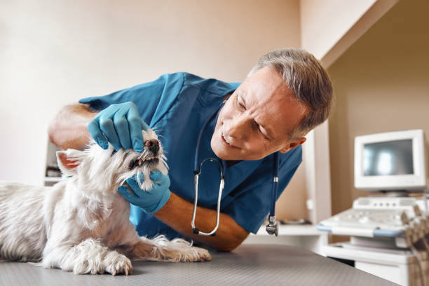 Best Weekend Emergency Dentist in Pecos, TX